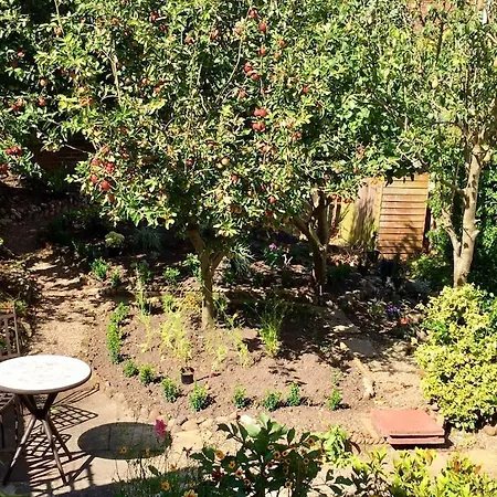 Tatil Evi Middle - Delightful Situated In The Grounds Of Hall, Near Filey, *